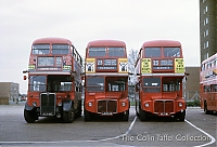 Filename=73052025.jpg
Filesize=814KiB
Dimensions=1500x1024
Date added=02 Aug 2025 73052025.jpg